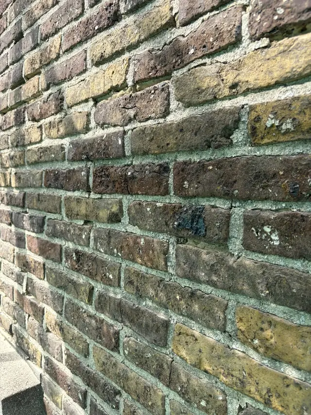 Verweerde voegen met groene aanslag in de gevel van de woning in Kortrijk