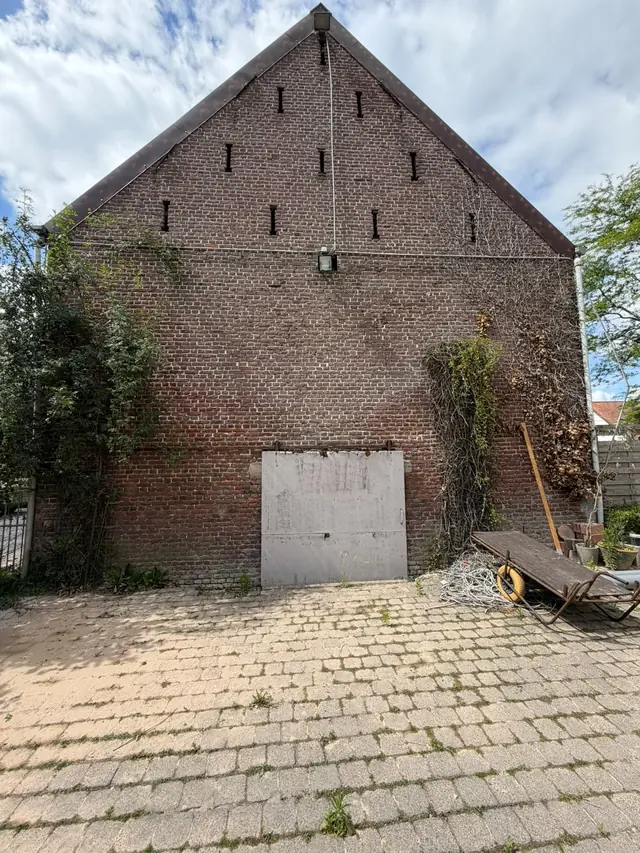 Zijgevel in Lauwe met klimop en verdorde begroeiing, voor het hervoegen