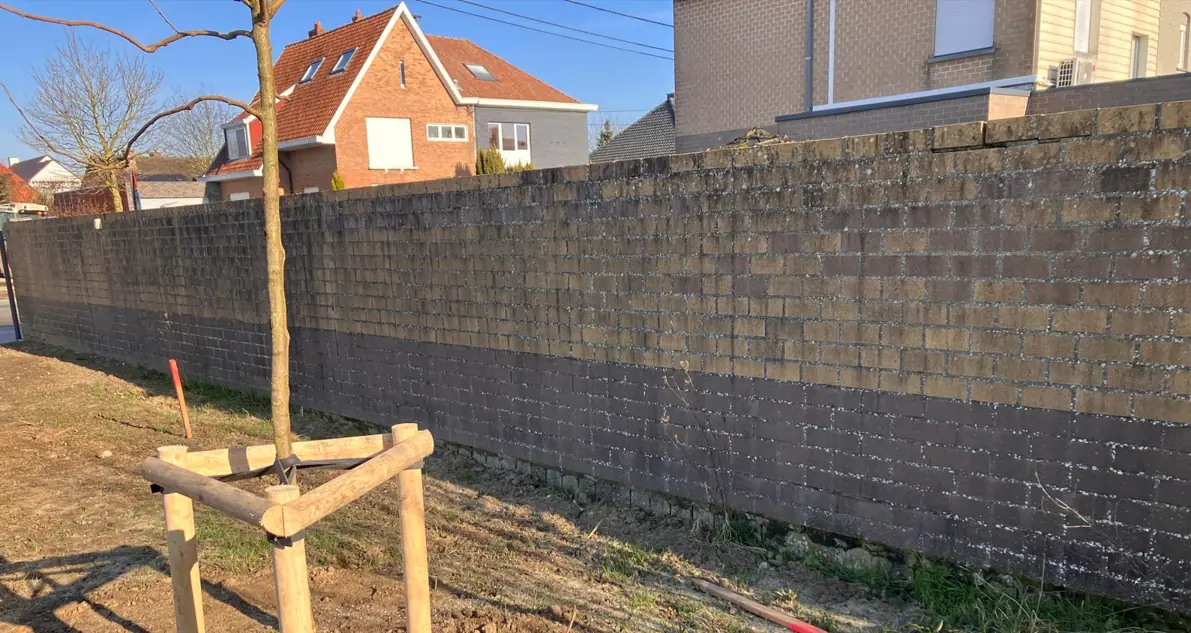 Lange bakstenen tuinmuur, donker en vervuild, vóór de behandeling